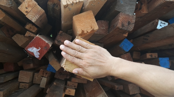 ขายไม้สนนอกเอาไปทำเพอร์นิเจอร์มีหลายขนาด4 นิ้ว 5นิ้ว ถึง10นิ้ว ยาวสูงสุด7เมตร ใส่รถ10ล้อใหญ่มาครับ ขายทั้งหมด 55000 บาท