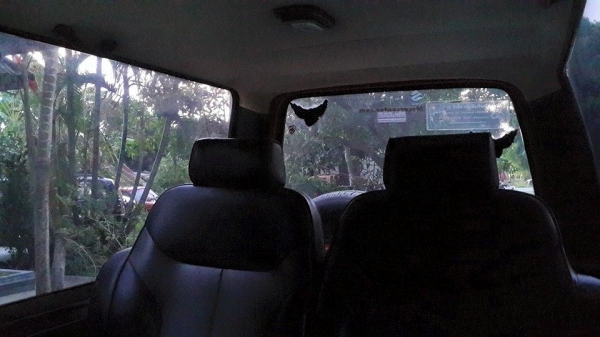 ซูซูกิ คาริเบี้ยน ปี 38 ซูซูกิ คาริเบี้ยน ปี 38