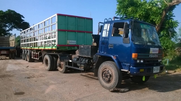ขายหัวลาก ISUZU เครื่อง NISSAN 260 แรงม้า พร้อมหาง 3 คาน ยาว 12 เมตร ทะเบียนพร้อม ราคาต่อรองได้