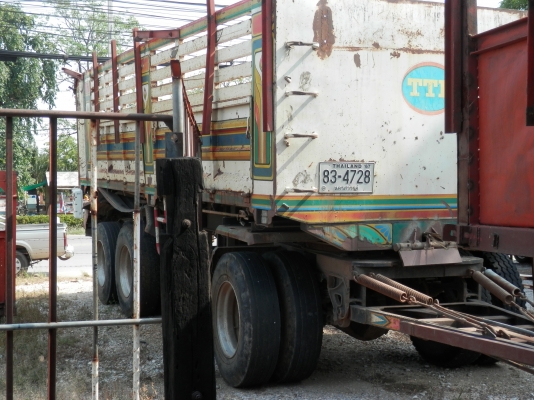 ขายทั่้งแม่ทั้งลูก