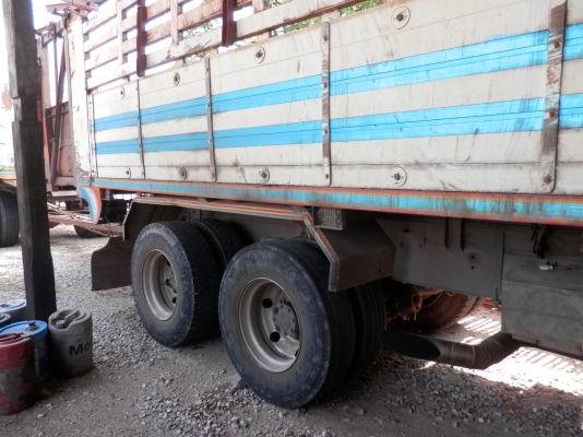 ขายทั่้งแม่ทั้งลูก