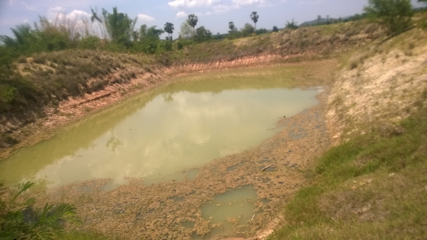 ขายที่ดิน29ไร่ พร้อมอ้อยใหม่ เต็มพื้นที่ ราคาถูกๆ