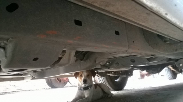 ขาย ISUZU MU7 3.0 VGS turbo เกียร์ออโต้ เบาะหนัง กระจกไฟฟ้า รถสวยเดิมๆ แอร์เย็น ทะเบียนพร้อมโอนครับ