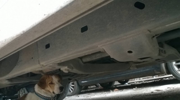 ขาย ISUZU MU7 3.0 VGS turbo เกียร์ออโต้ เบาะหนัง กระจกไฟฟ้า รถสวยเดิมๆ แอร์เย็น ทะเบียนพร้อมโอนครับ