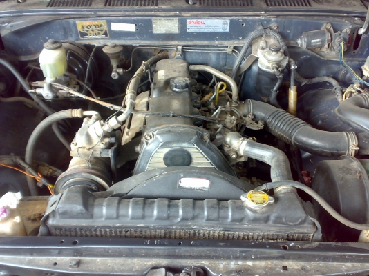 ไมตี้X แคป ราคา หัวเดี๋ยว ** หมดงบครับ