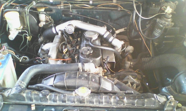 Big M King Cab เครื่อง TD 27 อย่างแรง สีสวย ขายไม่แพง Big M King Cab เครื่อง TD 27 อย่างแรง สีสวย ขายไม่แพง