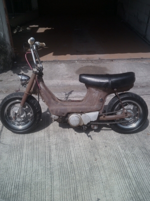 ขายHonda ชาลี 50ซีซี เกียร์ออโต้