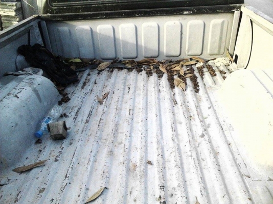 ขายกระบะ CYCLONE แค็บ เฉพาะกระบะ ขายกระบะ CYCLONE แค็บ เฉพาะกระบะ