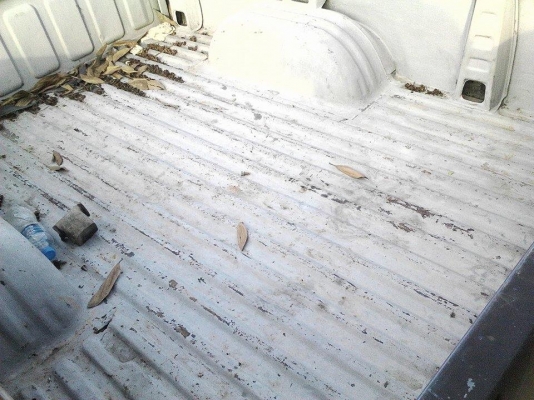 ขายกระบะ CYCLONE แค็บ เฉพาะกระบะ ขายกระบะ CYCLONE แค็บ เฉพาะกระบะ