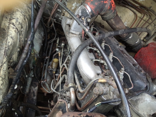 ขายครับหัวยาว ดั้ม เบรคทิฟฟี่ พวงมาลัยเพาเว่อ ช่วงล่างฟูโซ่ ใหญ่ เครื่อง 6BF1 185แรงช้าง