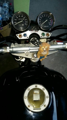 ธารนนทบุรี///ขาย yamaha xjr 1200 ปี 94-95 สวยๆเดิมๆ ระบบเครื่อง ระบบไฟสมบูรณ์ทุกจุดครับ ราคา 79,000 บาท อินวอยท์+สรรพสามิต