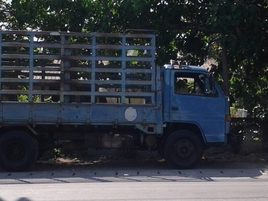 รถอีซูซุNPR 115 ต้องการขายตามสภาพ