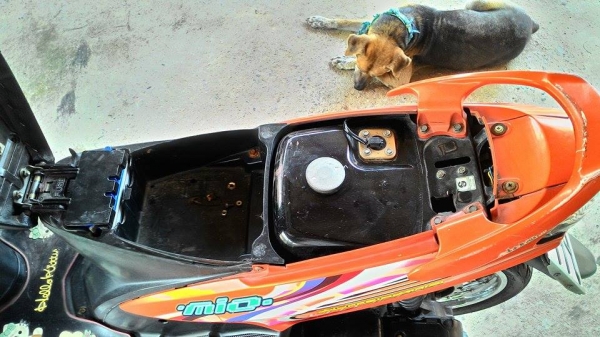 ขาย mio ตัวเก่าทะเบียนตอง777