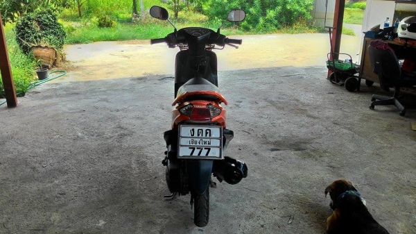 ขาย mio ตัวเก่าทะเบียนตอง777