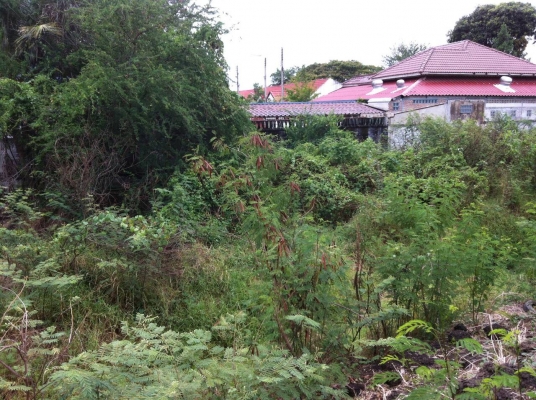 ขายที่ดิน ในเขต อ.เมือง จ.ลพบุรี มีโฉนด