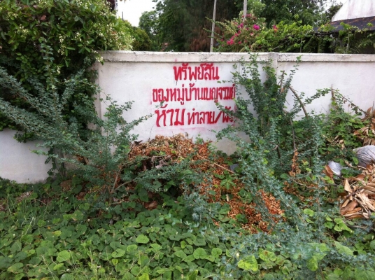 ขายที่ดิน ในเขต อ.เมือง จ.ลพบุรี มีโฉนด