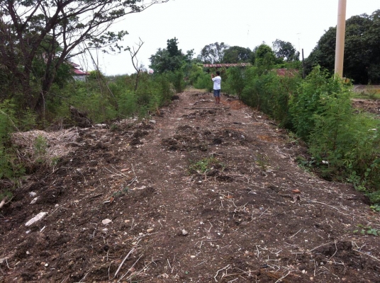 ขายที่ดิน ในเขต อ.เมือง จ.ลพบุรี มีโฉนด