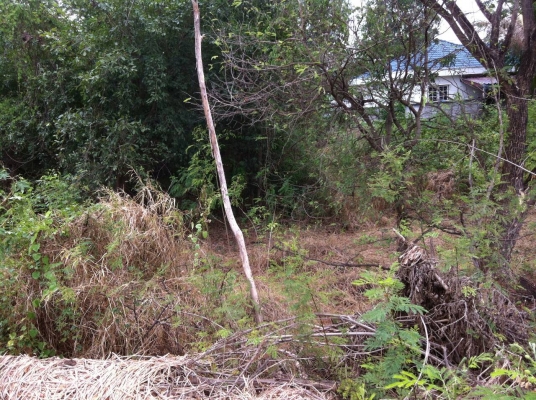 ขายที่ดิน ในเขต อ.เมือง จ.ลพบุรี มีโฉนด