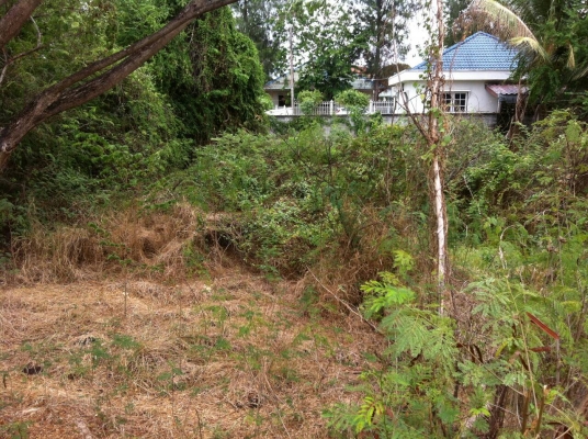 ขายที่ดิน ในเขต อ.เมือง จ.ลพบุรี มีโฉนด