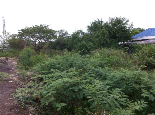 ขายที่ดิน ในเขต อ.เมือง จ.ลพบุรี มีโฉนด