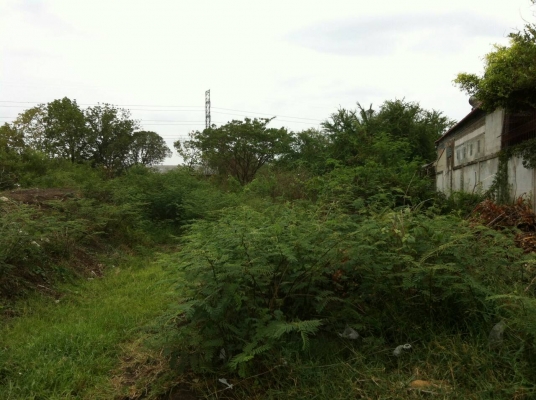 ขายที่ดิน ในเขต อ.เมือง จ.ลพบุรี มีโฉนด