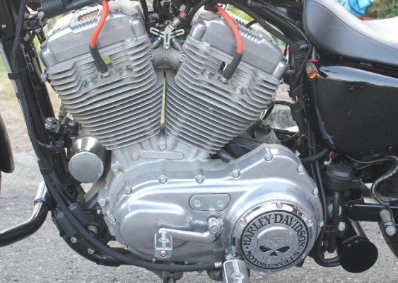 ขาย Harley Sportster 883R