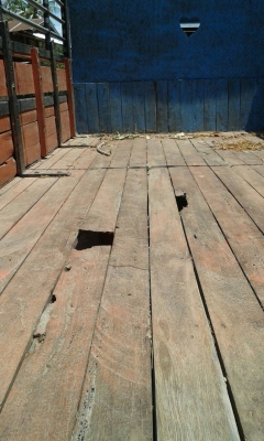 หกล้อ อีซูชุ NPR115 แรง พ.เวอร์ เกียร์ร็อค6เดินหน้า สภาพดีพร้อมใช้งานสุดๆ ทะเบียน เอกสารภาษีเต็ม พร้อมโอน