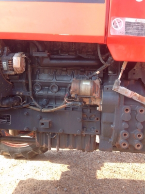 แทรกเตอร์คูโบต้า เอ็ม 5000 สภาพดีเดิมทั้งคัน พร้อมใช้งาน แถมโรตารี่ให้ด้วย แทรกเตอร์คูโบต้า เอ็ม 5000 สภาพดีเดิมทั้งคัน พร้อมใช้งาน แถมโรตารี่ให้ด้วย