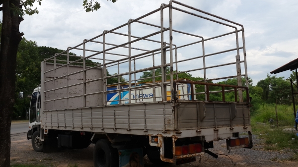 ขายFRR195แรง กะบะยาว 6.5 เมตร ขายFRR195แรง กะบะยาว 6.5 เมตร