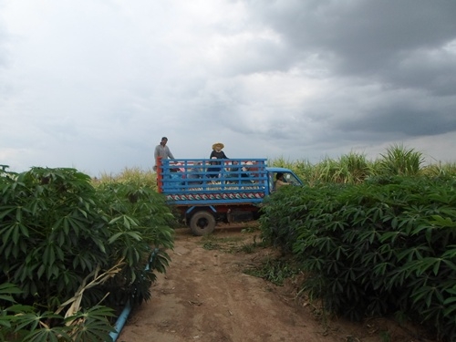 รถอีแต๋นดั้ม ติดสโล เช็คถ่ายน้ำมันทุกอย่าง พร้อมใช้สนใจโทรมาสอบถามได้ครับ ส่งฟรีครับ