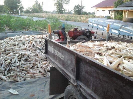 รถอีแต๋นดั้ม ติดสโล เช็คถ่ายน้ำมันทุกอย่าง พร้อมใช้สนใจโทรมาสอบถามได้ครับ ส่งฟรีครับ