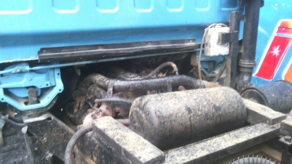 หกล้อดั้มมือสอง,Isuzu KS/ 110 แรง ดั้มพร้อมใช้