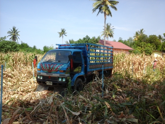 ขายรถอีแต๋นติดดั้ม ติดสโล เช็คถ่ายน้ำมันทุกอย่าง พร้อมใช้สนใจโทรมาสอบถามได้ครับ ส่งฟรีครับ