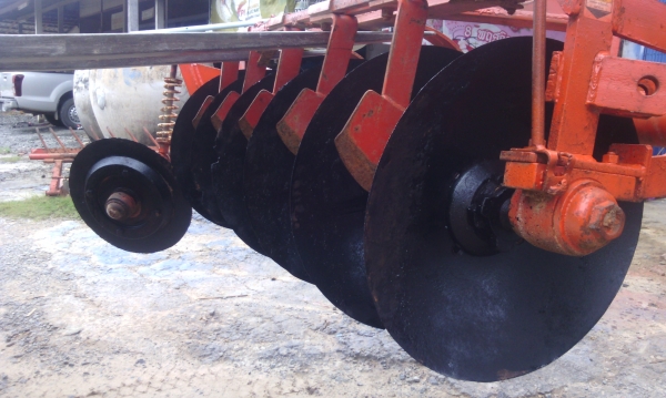 มาแล้วครับ หาง 6 ใบ 22 ตราช้าง ใส่ 34-35-35-45-49 สวยครับ