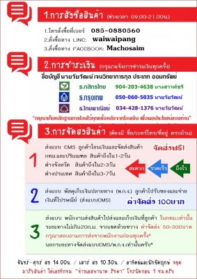 ขนาดเล็ก หลั่งไว เหนื่อยง่าย ไม่แข็งตัว มีโรคประจำตัว มาโชอยู่หมัดปัญหานี้