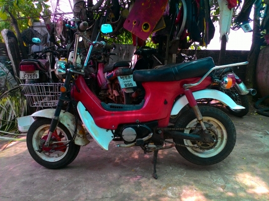 ชาลีไฟบน