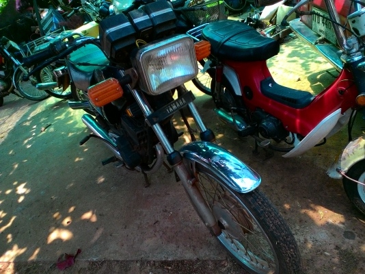 ัyamaha concord ทะเบียน