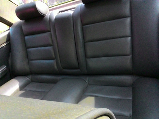 เปอโยติดแกส เปอโยติดแกส