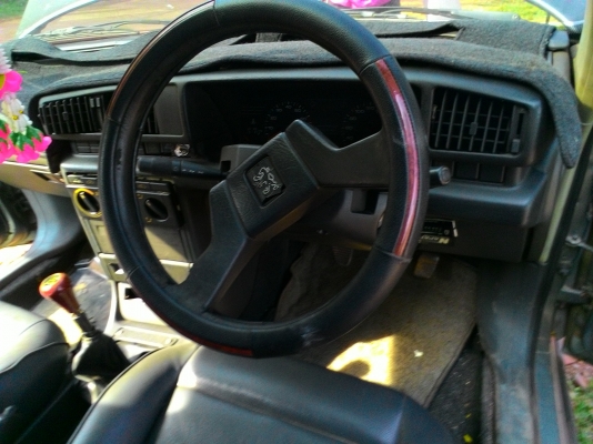 เปอโยติดแกส เปอโยติดแกส