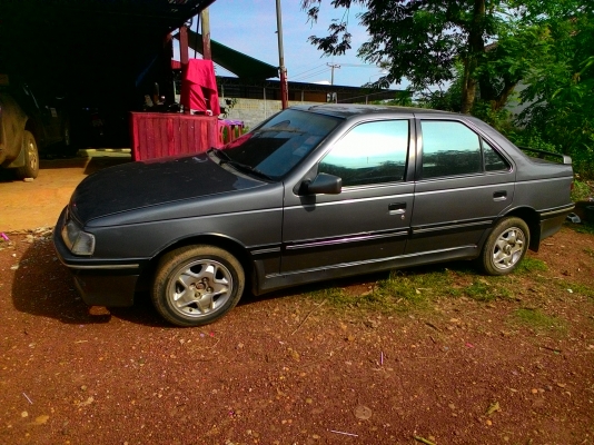 เปอโยติดแกส เปอโยติดแกส