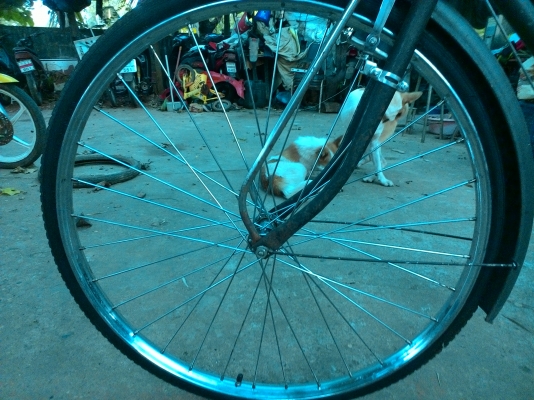 standard ล้อ 28