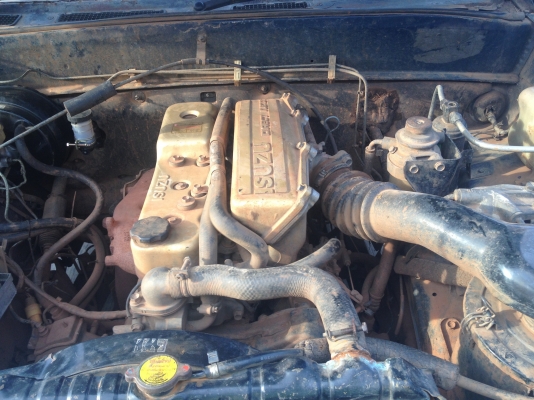 ขายมังกรทอง เดิมๆ ปี  33