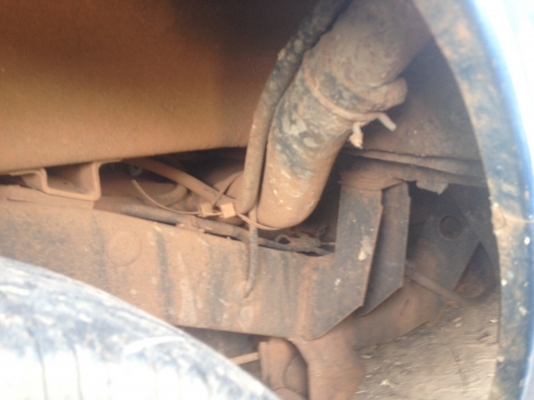 ขายมังกรทอง เดิมๆ ปี  33