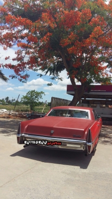 ขายรถอเมริกัน cadillac deville 1967