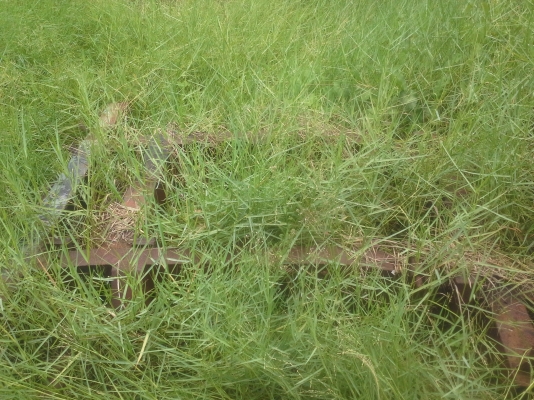 ทะเบียน landrover ทะเบียน landrover