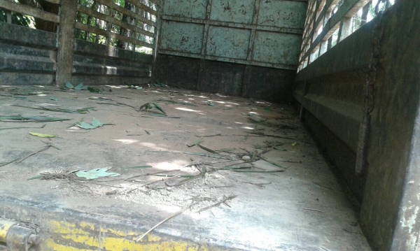 10ลัอเพลาเดียว195แรงFVM32M R-3003168 รถสภาพดี สวยดี