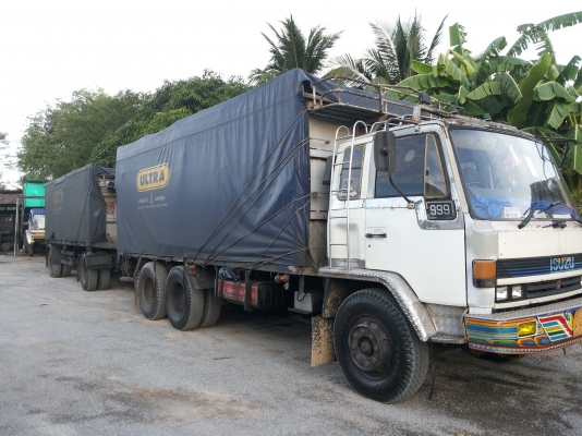 ขายแม่+ลูก780000