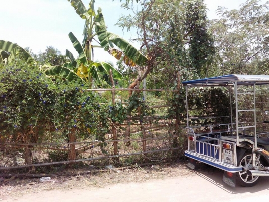 ขายที่ดิน 1 งาน 45 ตารางวา นครราชสีมา ขายที่ดิน 1 งาน 45 ตารางวา นครราชสีมา