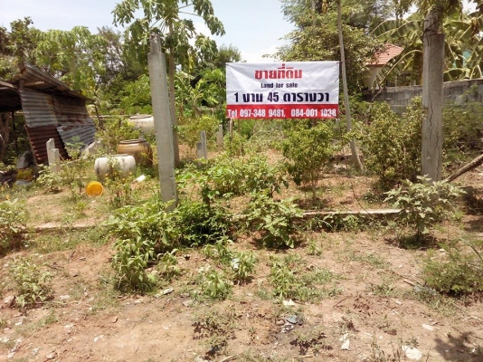 ขายที่ดิน 1 งาน 45 ตารางวา นครราชสีมา ขายที่ดิน 1 งาน 45 ตารางวา นครราชสีมา