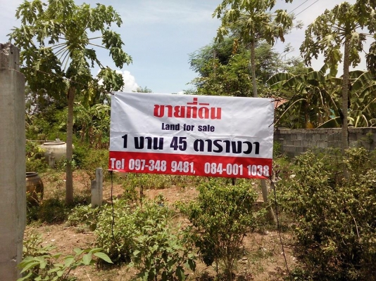 ขายที่ดิน 1 งาน 45 ตารางวา นครราชสีมา ขายที่ดิน 1 งาน 45 ตารางวา นครราชสีมา